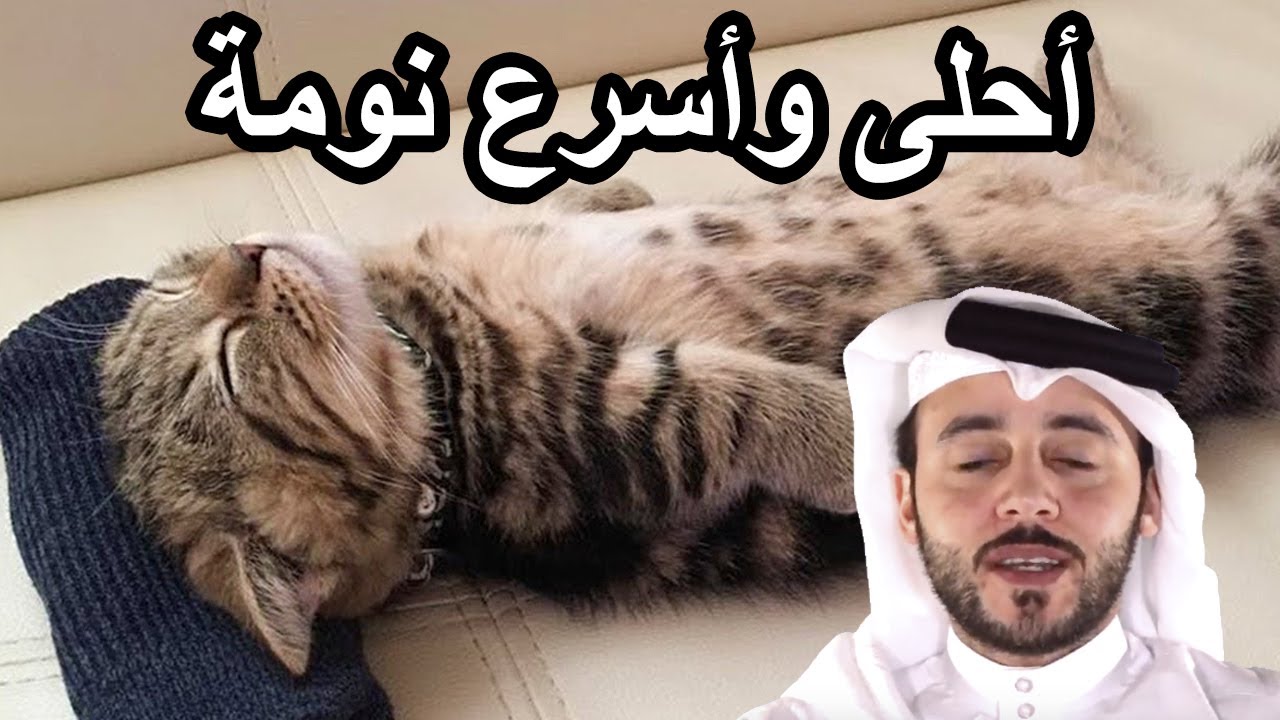 نام في أول ٥ دقايق من المقطع... الأرق | تنويم ذاتي