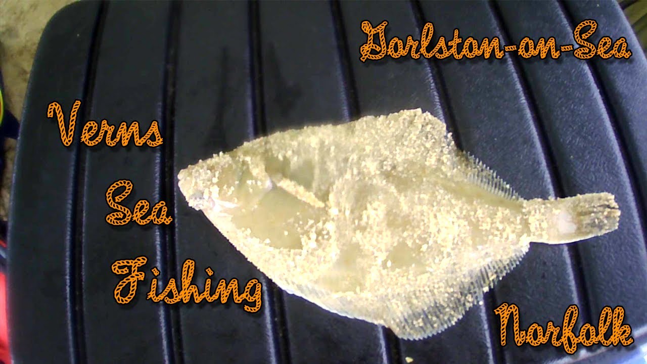 VERNS SEA FISHING | NORFOLK GORLSTON-ON-SEA