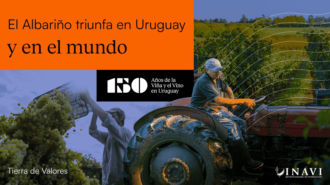 El Albariño triunfa en Uruguay y el mundo | INAVI