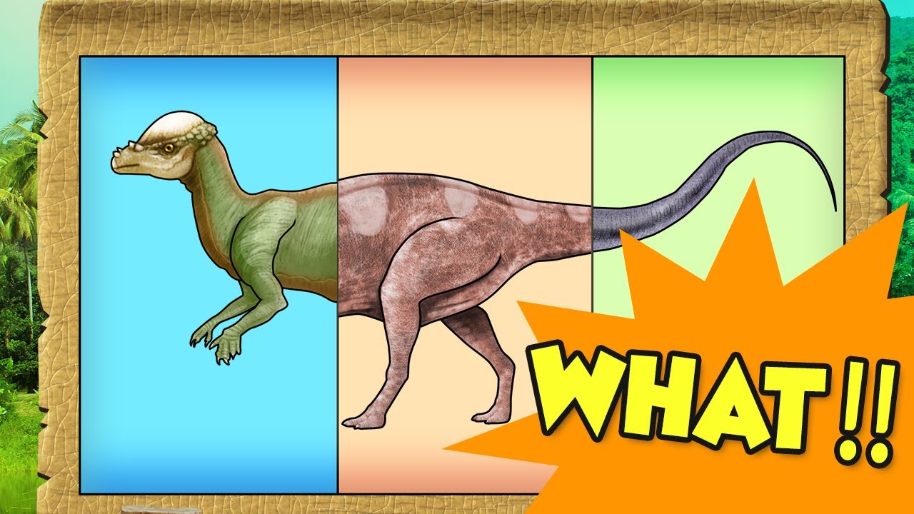 초식공룡 이름,크기|Let's find out the herbivorous dinosaur name, size, and weight| dinosaur video book |공룡도감