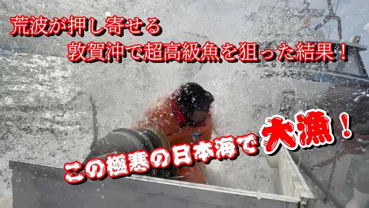 【大漁】危険な高級魚漁に密着！【敦賀漁師一美丸の命がけの延縄漁】