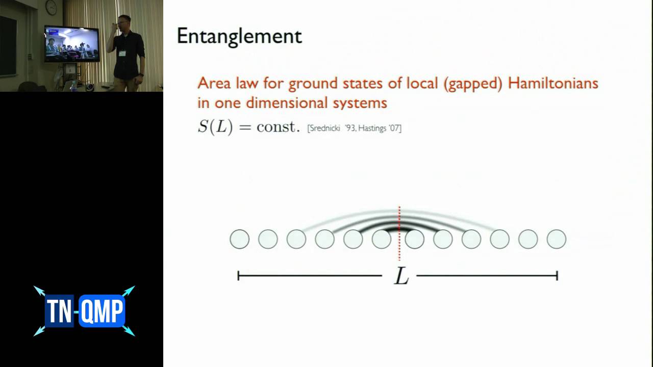 TNQMP2016: Frank Pollmann (July 5, 2016)