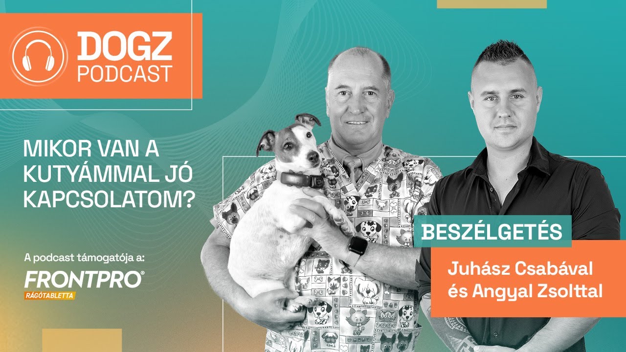 Mikor van a kutyámmal jó kapcsolatom?