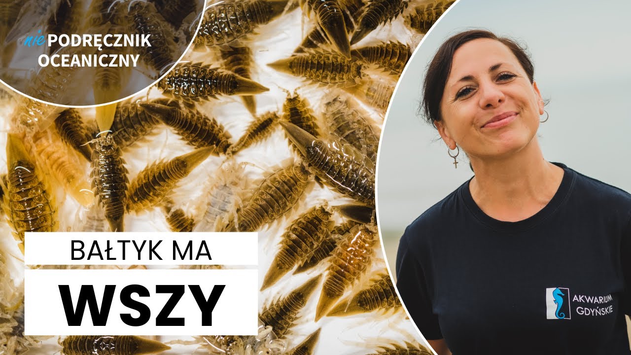 Podwój wielki - Bałtyk ma wszy! || Niepodręcznik Oceaniczny odc.181