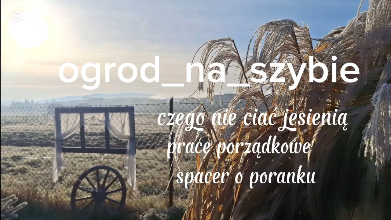 Czego nie ciać jesienią, magia porannego spaceru oraz prace w ogrodzie