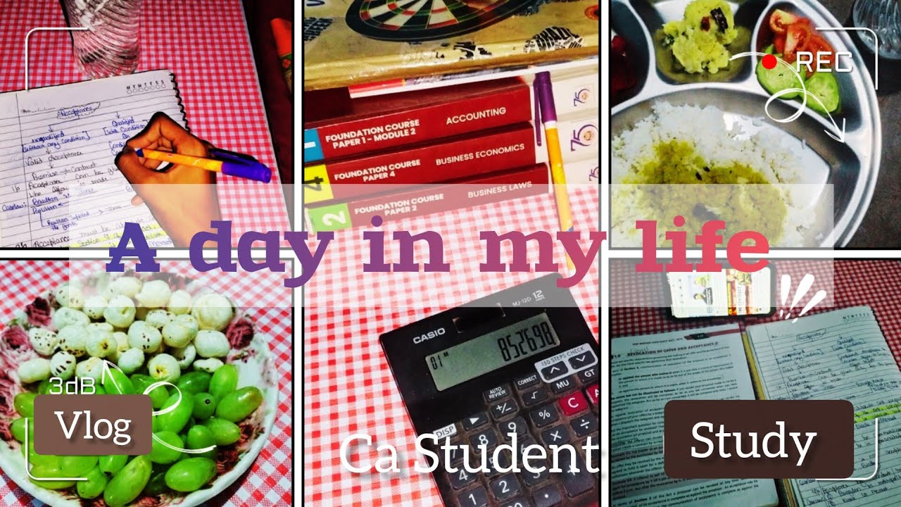A Day In My Life Of A Ca student📕|| Study Vlog 💪|Productive day in my life📝🤓#adayinmylife #ca #icai 