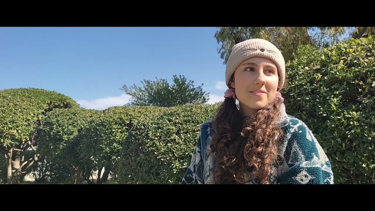FREINESIES COLLLECTIVES FILM