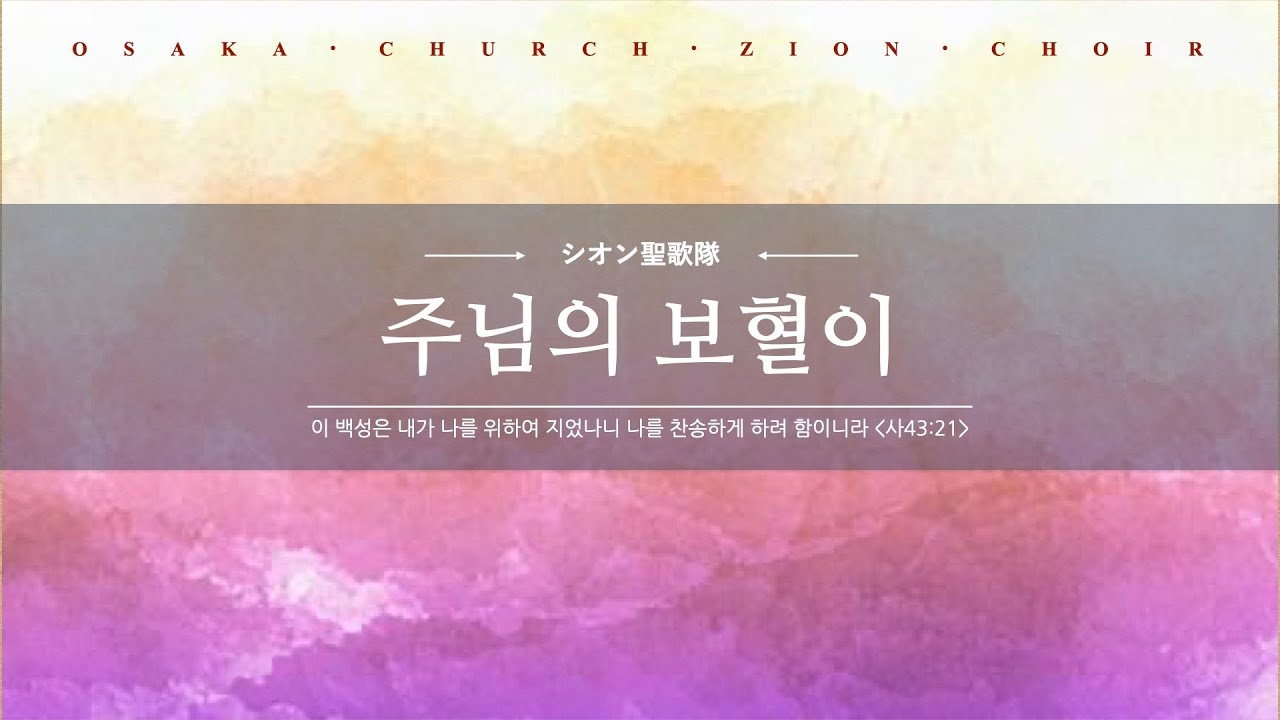[特別賛美] 주님의 보혈이(シオン聖歌隊)