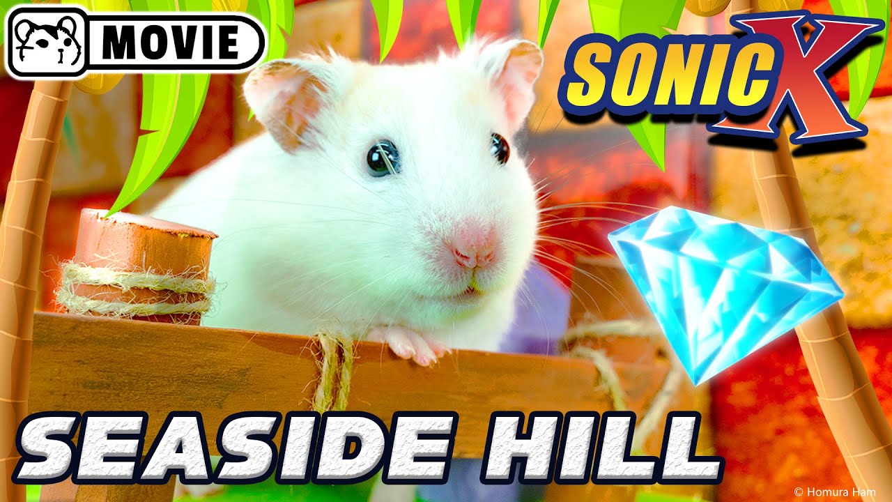 Hamster Sonic vs Eggman ep.2 - Seaside Hill zone 🐹 Big hamster escape 🐹 Homura Ham