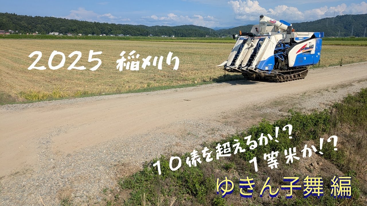 秋なのか夏なのか感謝の稲刈り１日１町！美味しいお米をたくさんＪＡに届ける為に。