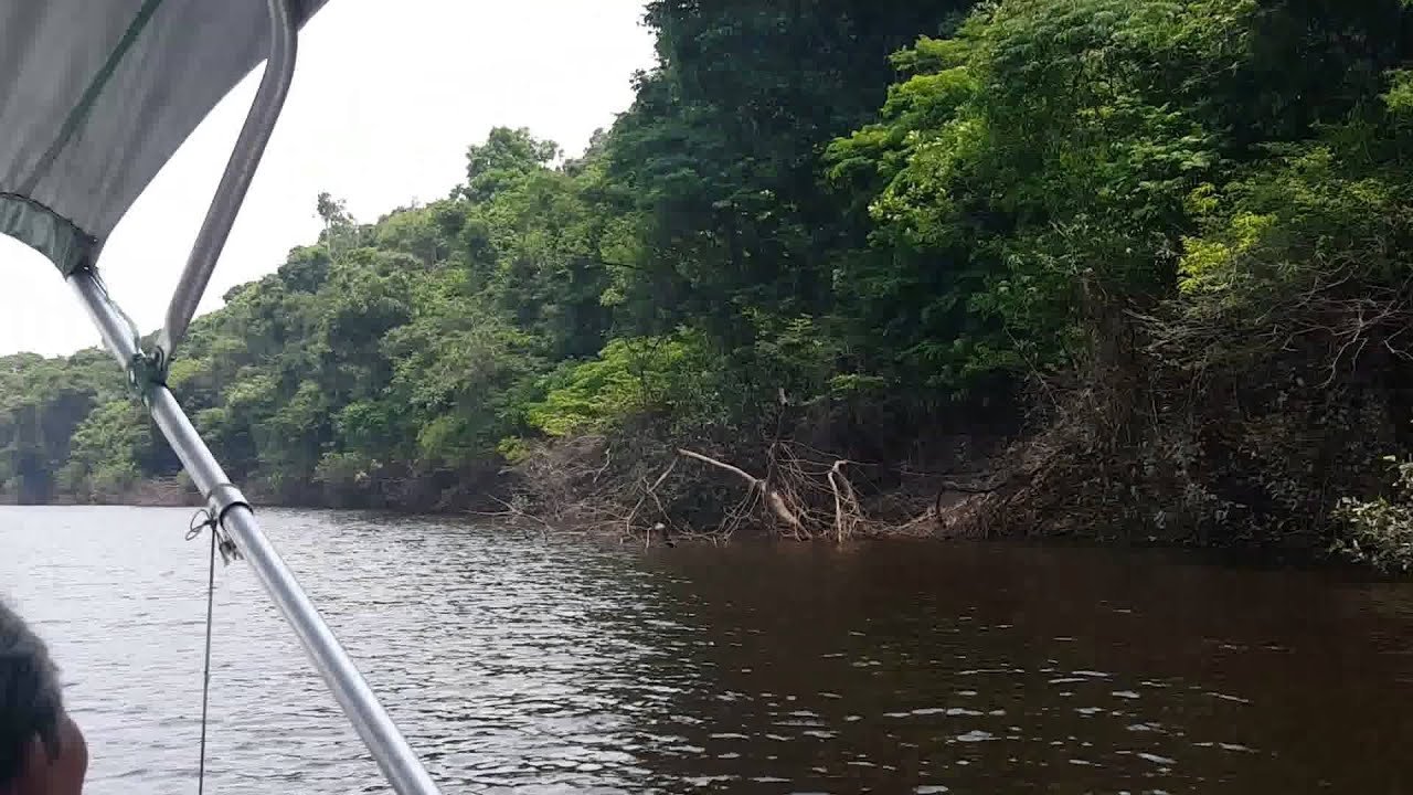 Rio negro seco - Igarapes isolados