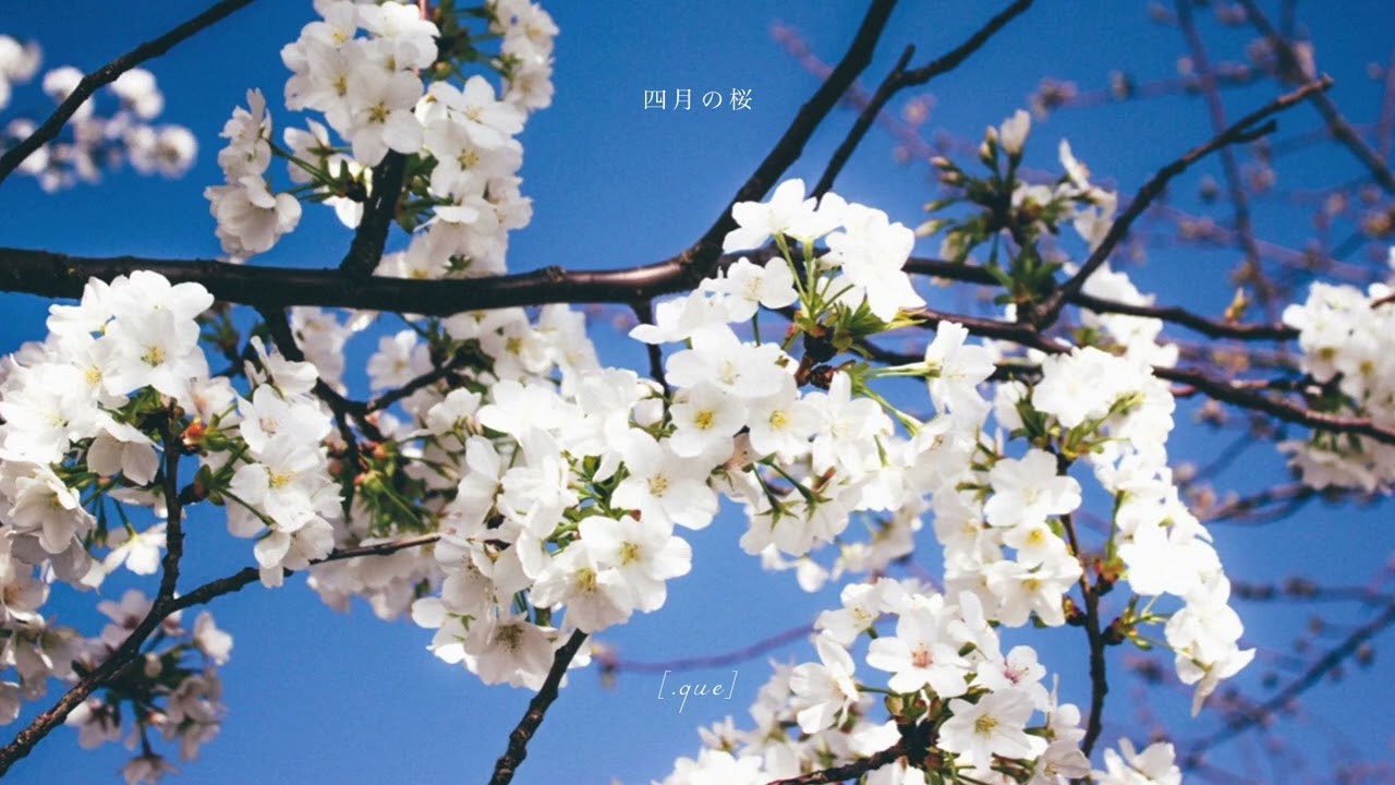 [.que] - 四月の桜 (Official Audio)
