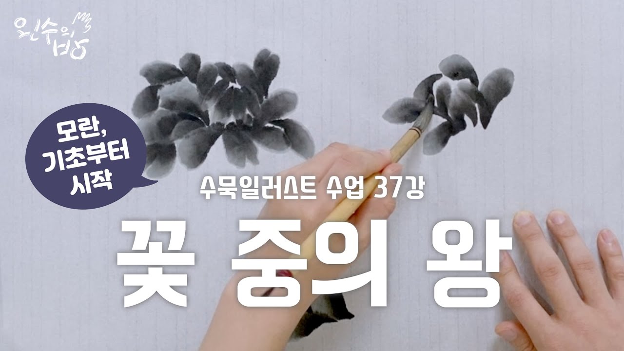 수묵일러스트 하기 #37 부의 상징 화중지왕 모란 그리기_봉오리부터 먹모란까지 [왼수의방]