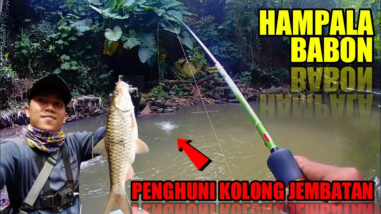 CASTING HAMPALA AIR KERUH PAKAI MINNOW | HAMPALA PURWOKERTO