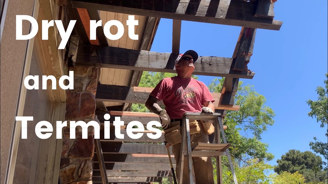 Dry rot and Termite Damaged Deck #dry-rot #termites