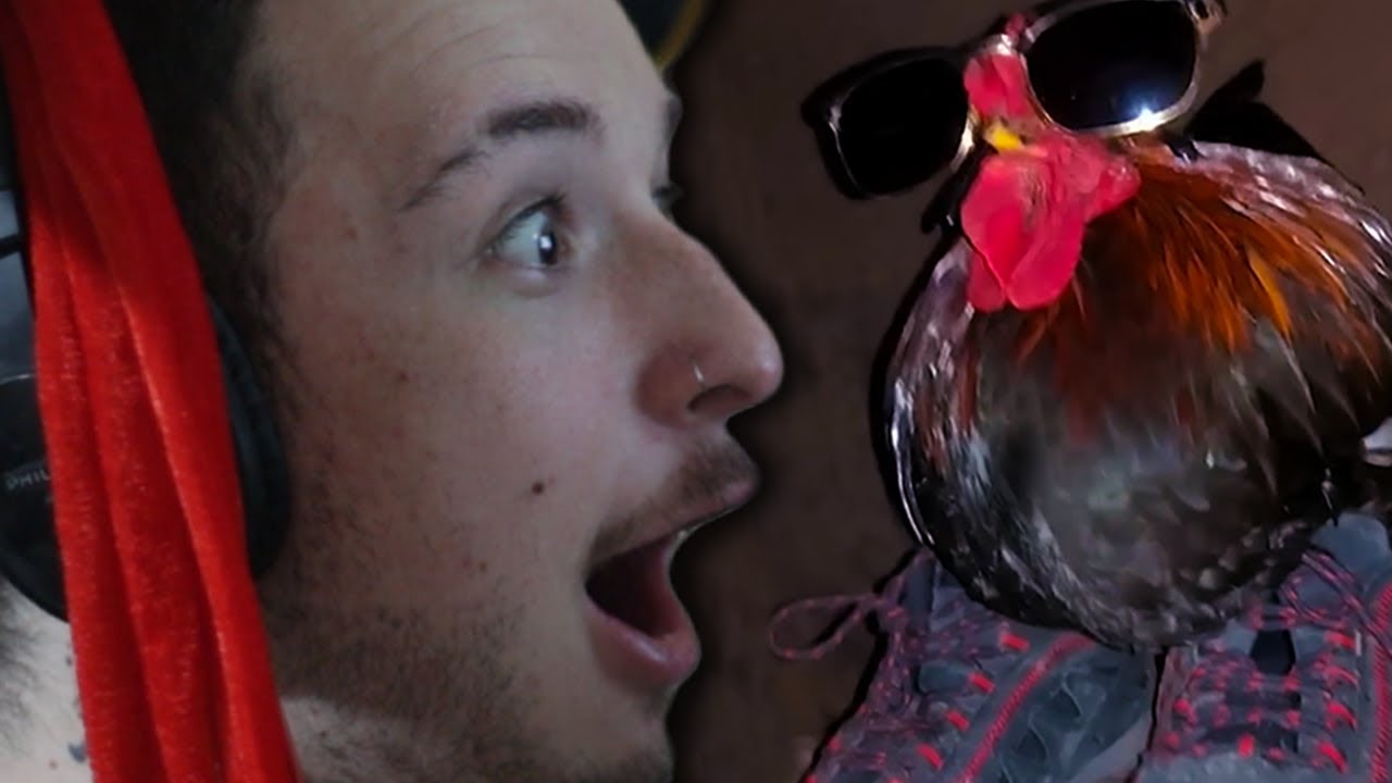 MEMES REALMENTE ENGRAÇADOS (ft. @HeyMigs @Veiin )