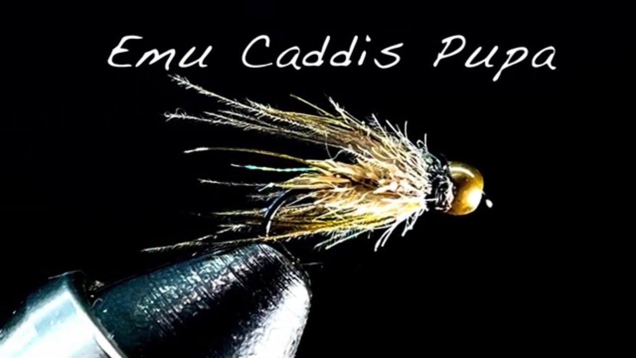 Emu Caddis Pupa