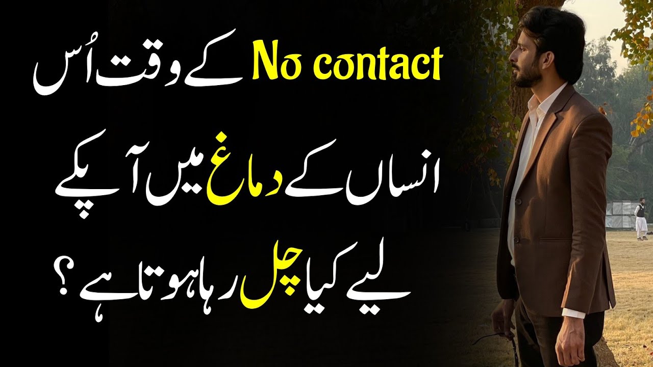 What happened After No Contact in relationship?