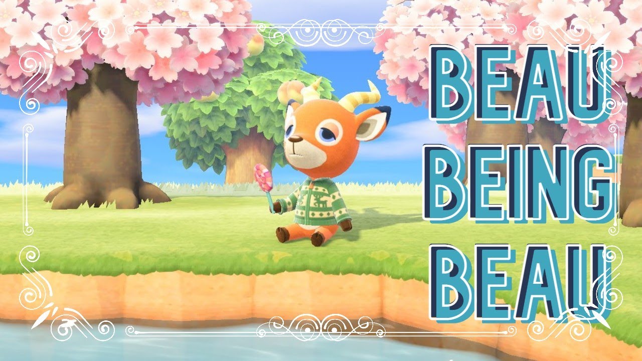 Best Cute Funny Moments of Beau - Animal Crossing New Horizon (ACNH)