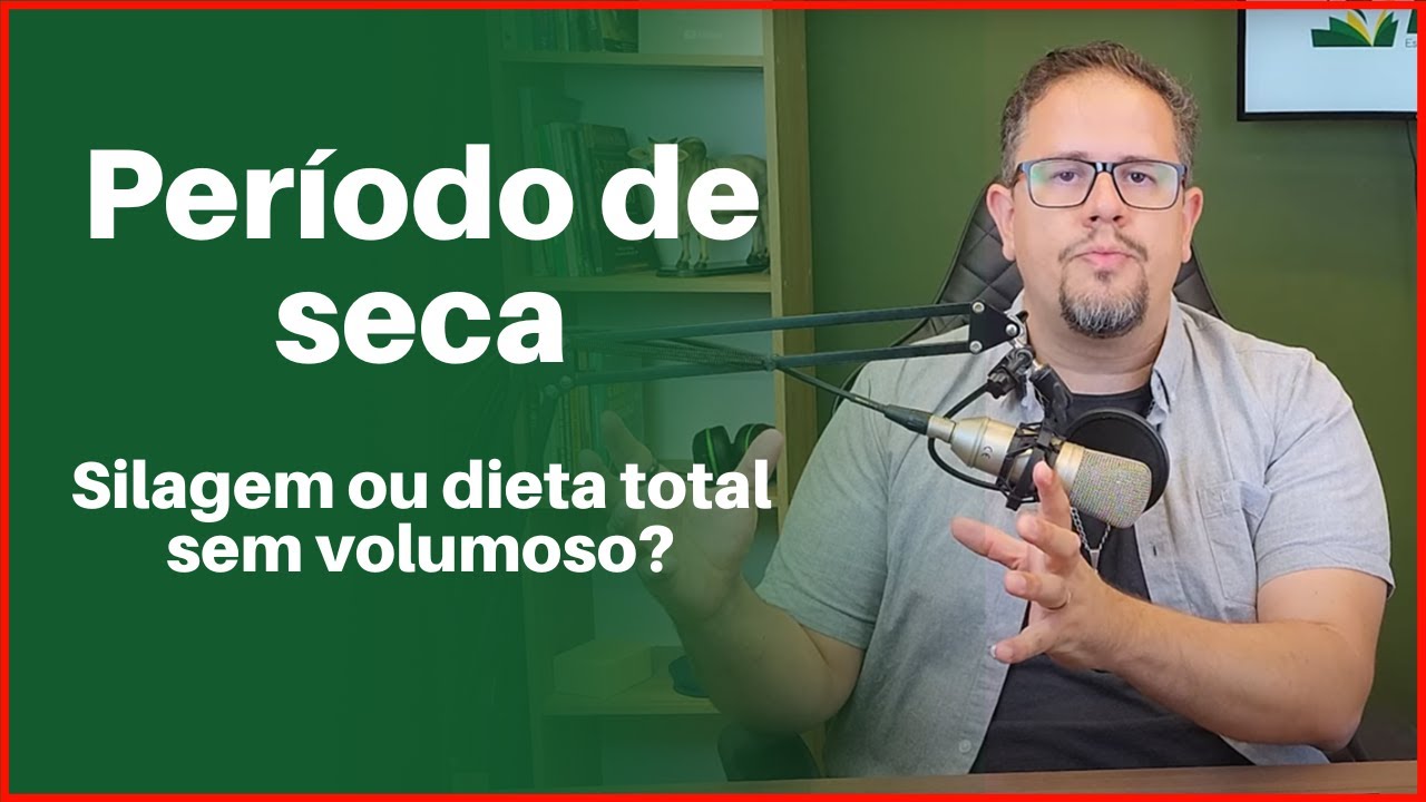 Que dieta vale mais na seca: silagem ou dieta total sem volumoso?