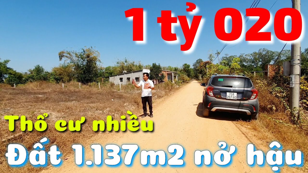 Bán đất 20x50 nở hậu có 200m2 thổ cư giá rẻ 1 tỷ 020 triệu đường 7m ở Long Vĩnh Châu Thành Tây Ninh