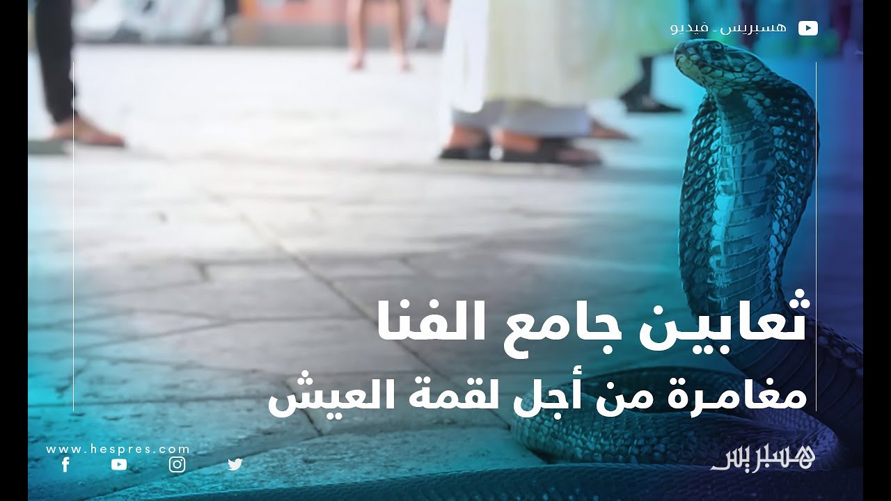 ترويض الثعابين .. 