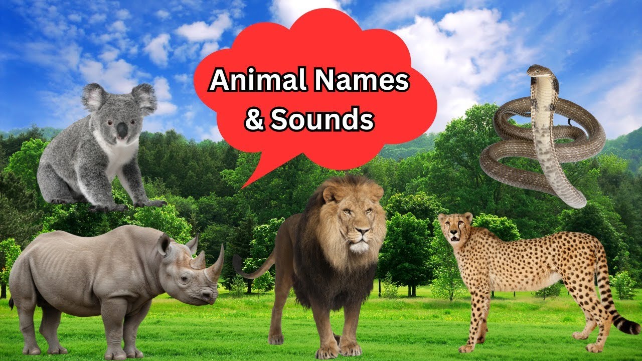 20 Animals Name and Sound 🐾 | English | Animals for Kids | Learn Animal Sounds