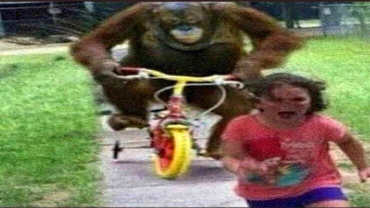 memes that are actually funny