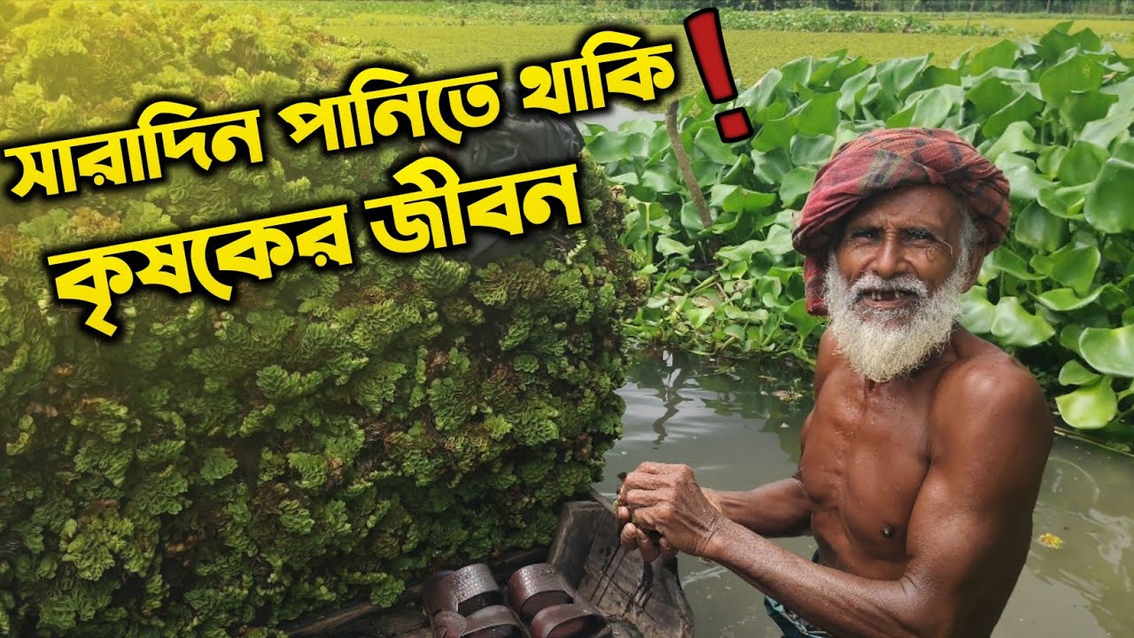 কৃষকের জীবন |Bangladeshi Village Life & Nature#villagelife #travelvlog