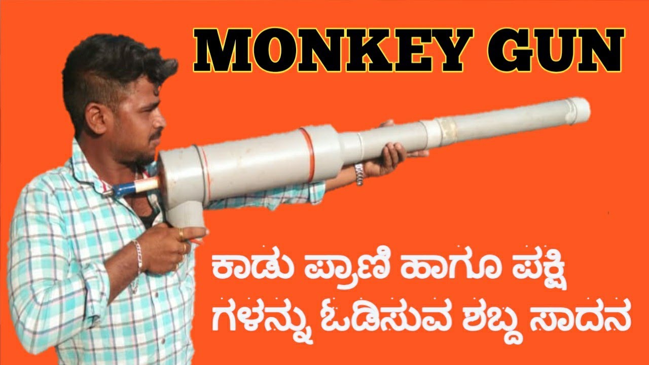 monkey gun in kannada, ಬೆಳೆ ಹಾನಿ ಮಾಡುವ ಪ್ರಾಣಿಗಳ ಕಾಟದಿಂದ ಮುಕ್ತಿ, Rangu Kasturi,