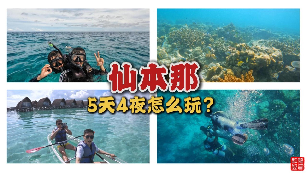2026仙本那旅游攻略 | 5天4夜一个人花费 配套只需RM1XXX？值得去吗？PomPom Island | Mabul Island | Sabah Semporna | Night Market