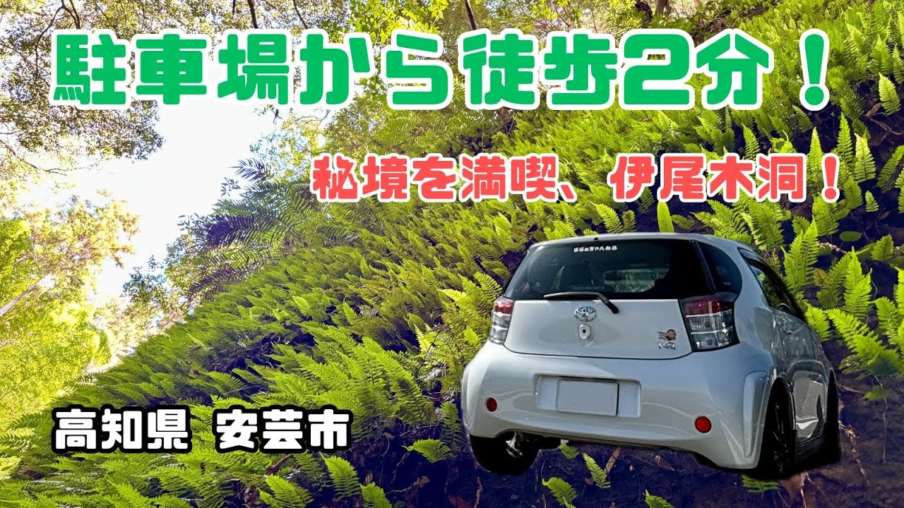 駐車場から徒歩2分！秘境を満喫！伊尾木洞！