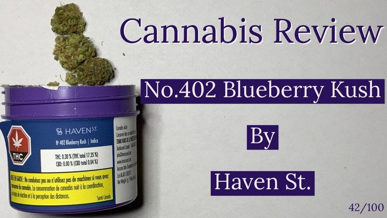 Cannabis Review | No. 402 Blueberry Kush by Haven St | The Cannabis Sommelier