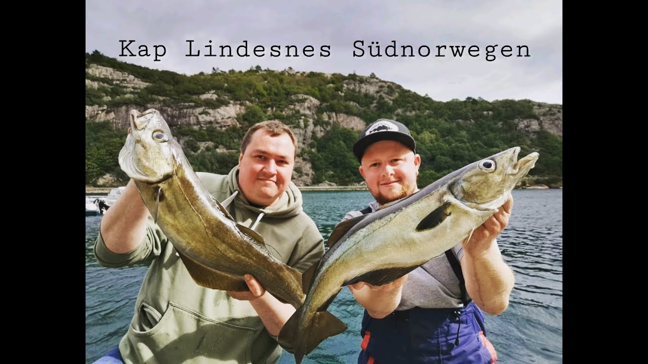Pollack-Party am Kap Lindesnes