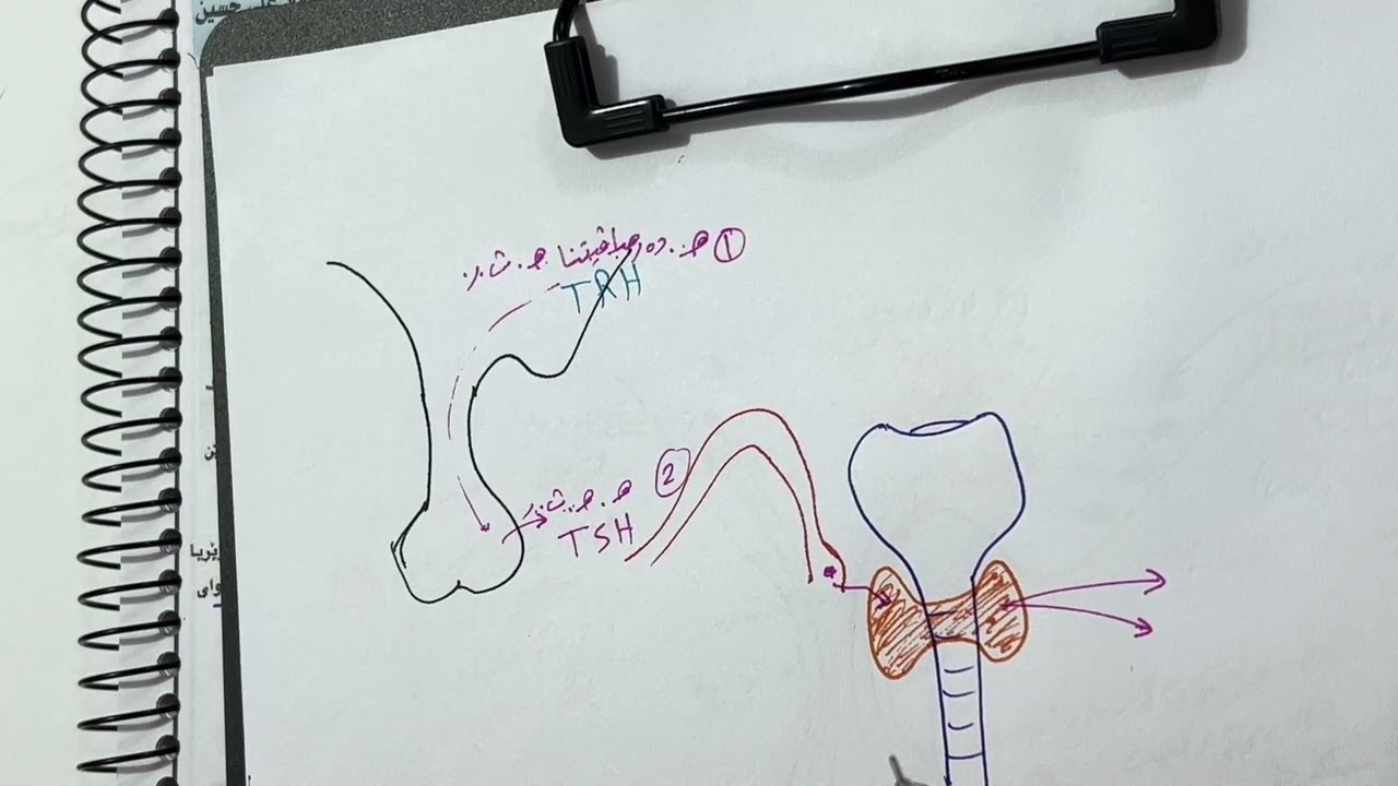 زیندەوەرزانی12 بادینی. پشکا(5-2) (Part 2) ثایرودە رژێن (م. عماد علي)