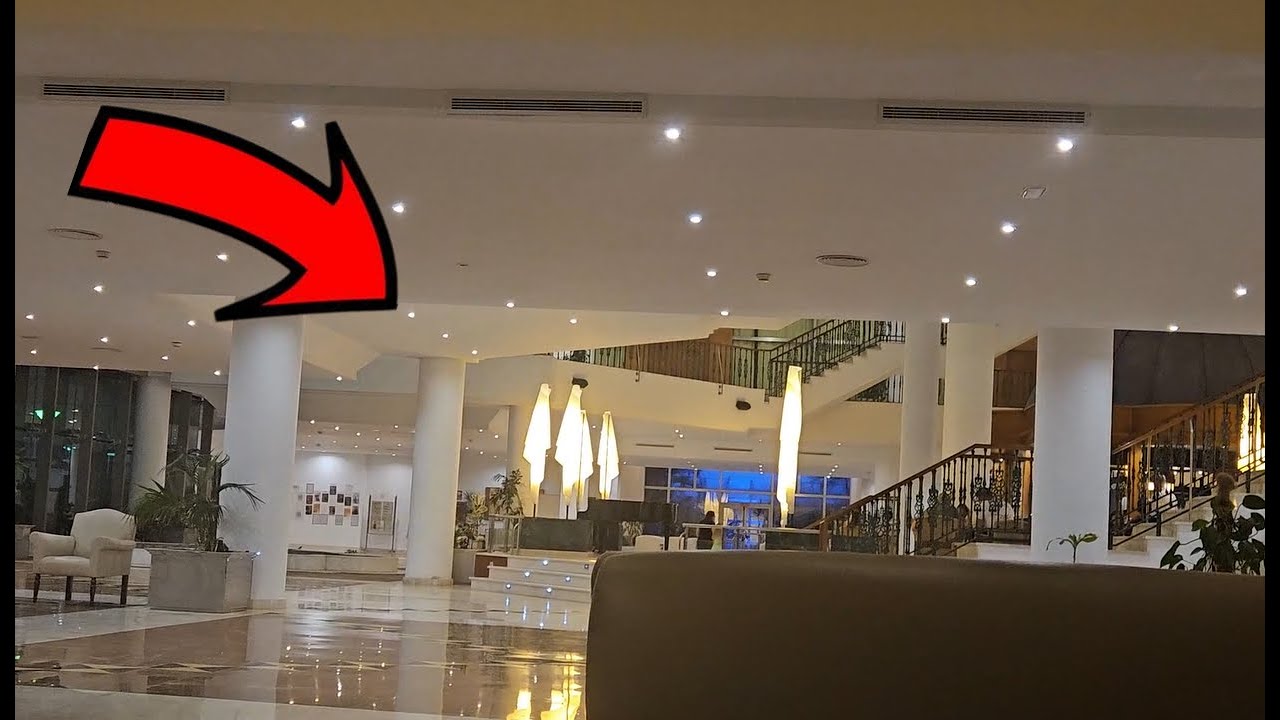 Vlog #6