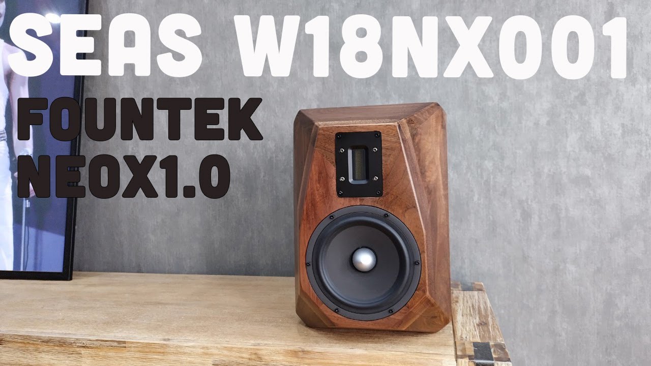2 way DIY bookshelf using Seas W18NX001 combined with ribbon super treble Fountek NeoX1.0