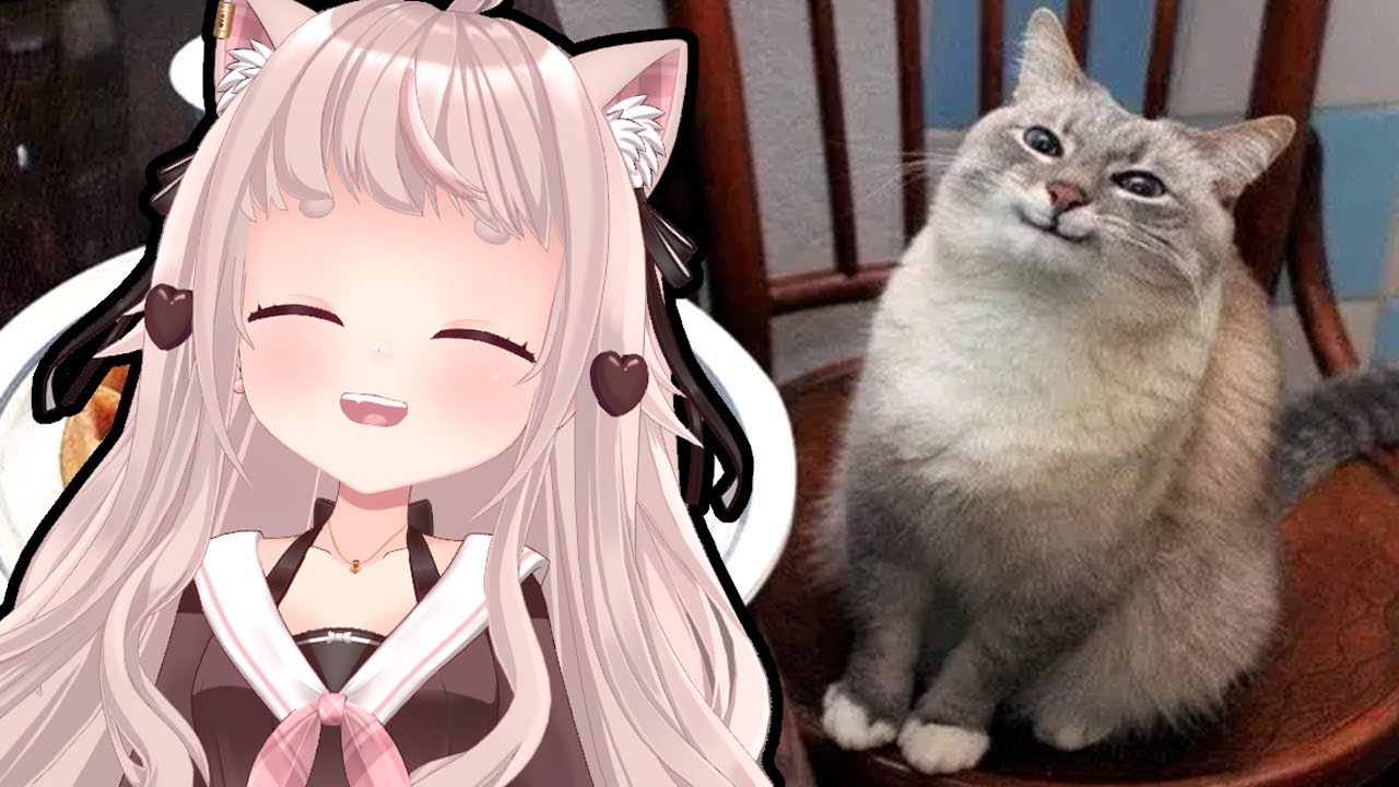 THESE CATS MADE ME OMEGALUL | VTuber Fuwa Reacts to FUNNY CAT MEMES COMPILATION
