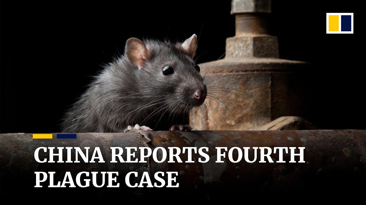 China reports fourth plague case in November