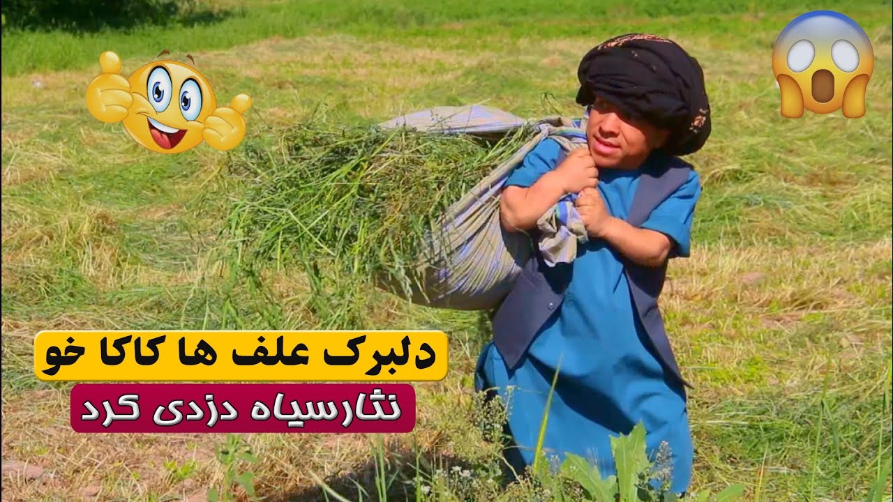 نمایش 