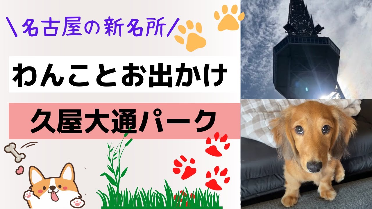 犬お出かけ【久屋大通パーク】愛知/名古屋【ミニチュアダックス多頭飼】