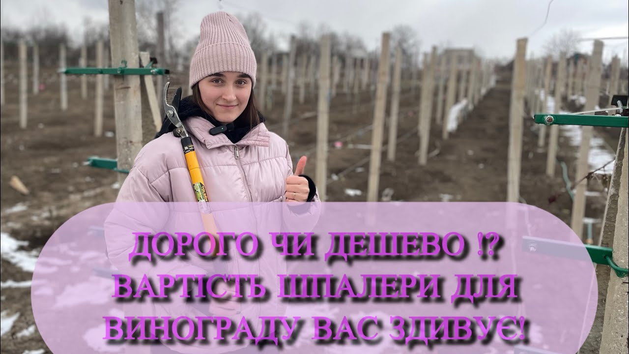Скільки коштує виноградна шпалера? Реальні цифри!