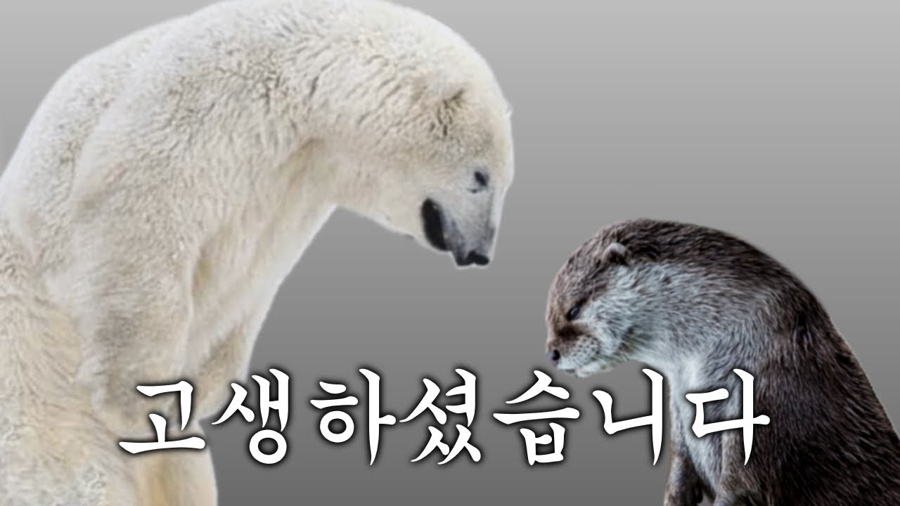 곰파랑 여러가지 게임 같이 하기