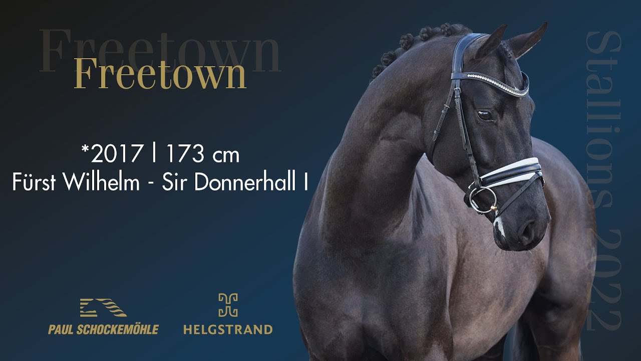 Freetown born 2017 by Fürst Wilhelm/Sir Donnerhall I