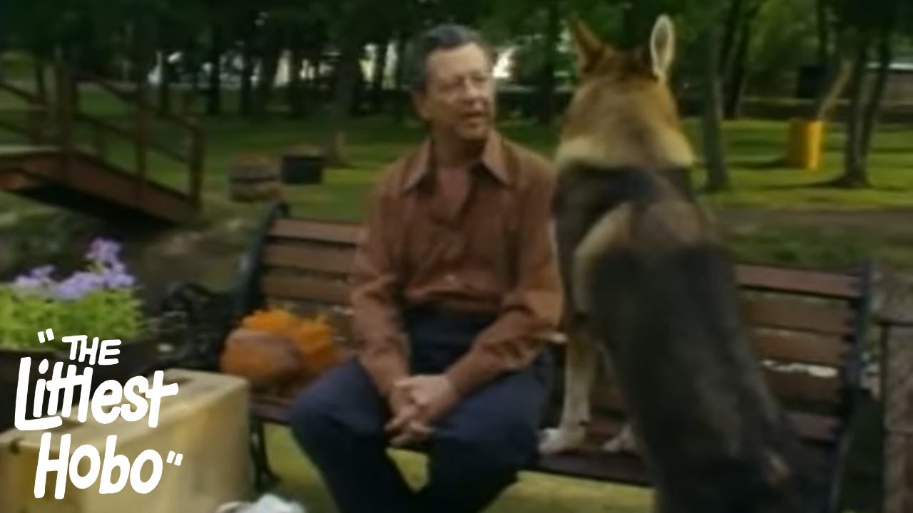 The Clown | The Littlest Hobo | Season 3 | Episode 14