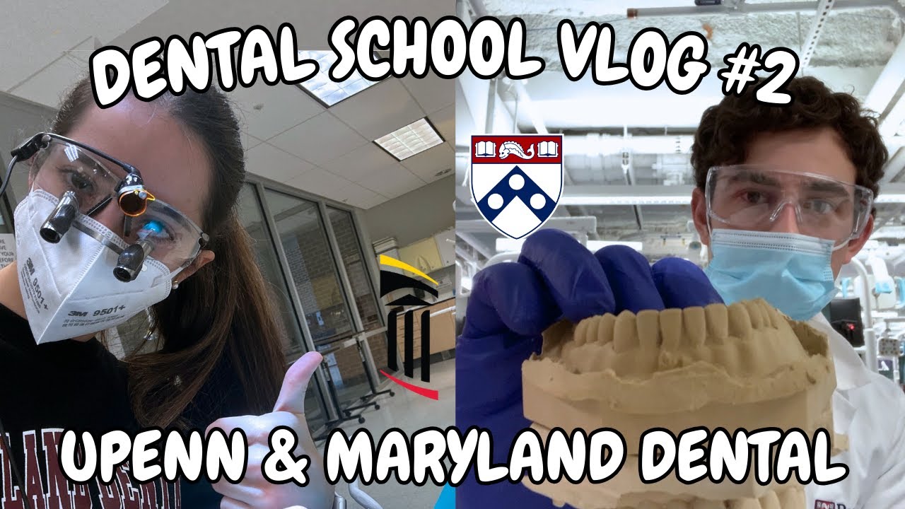 Dental School VLOG #2 | Impressions, Restorations, etc!
