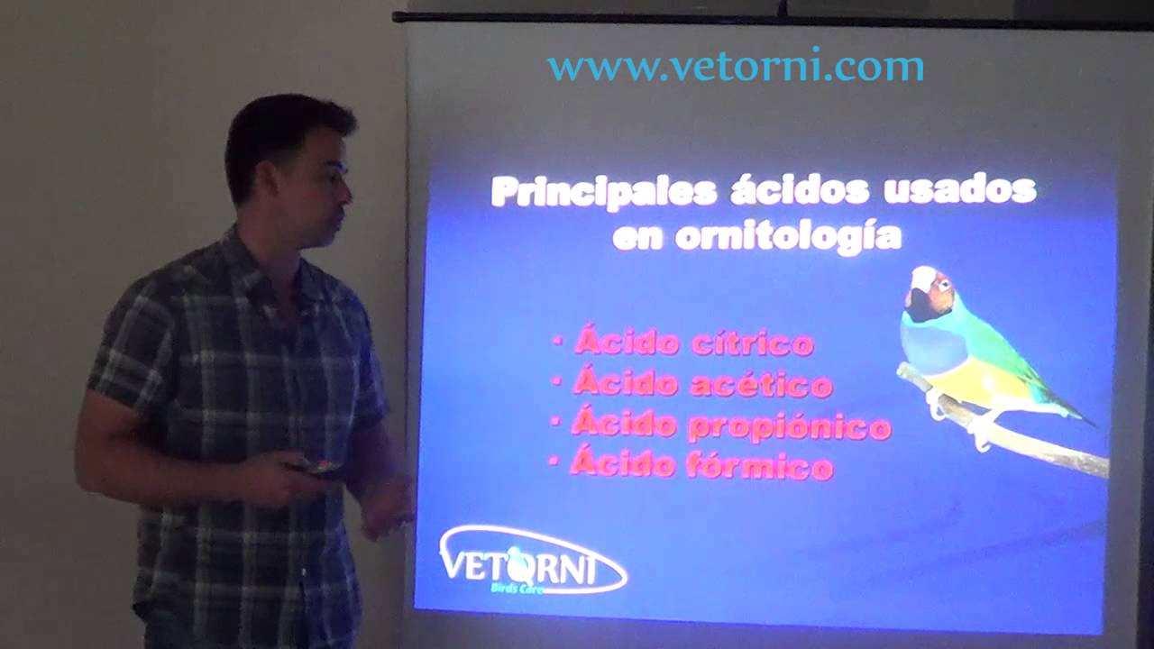 El uso de acidificantes en Ornitología