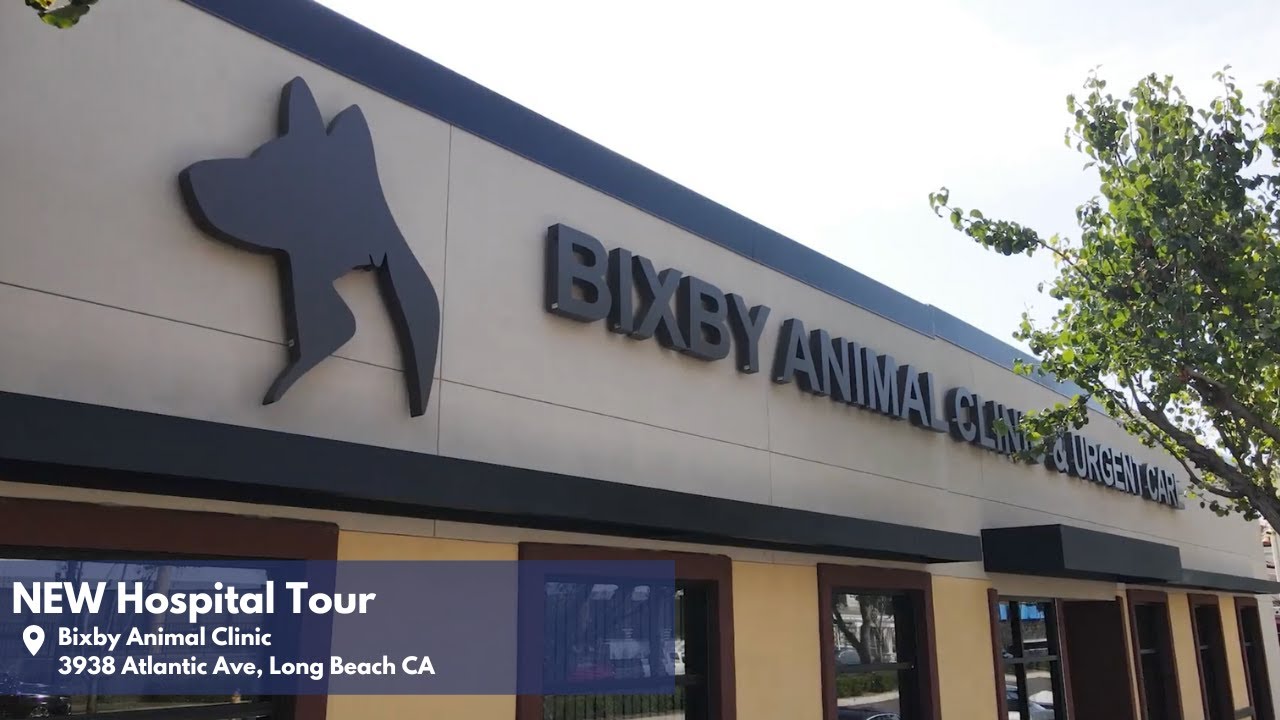 Bixby Animal Clinic: Veterinary Hospital Tour