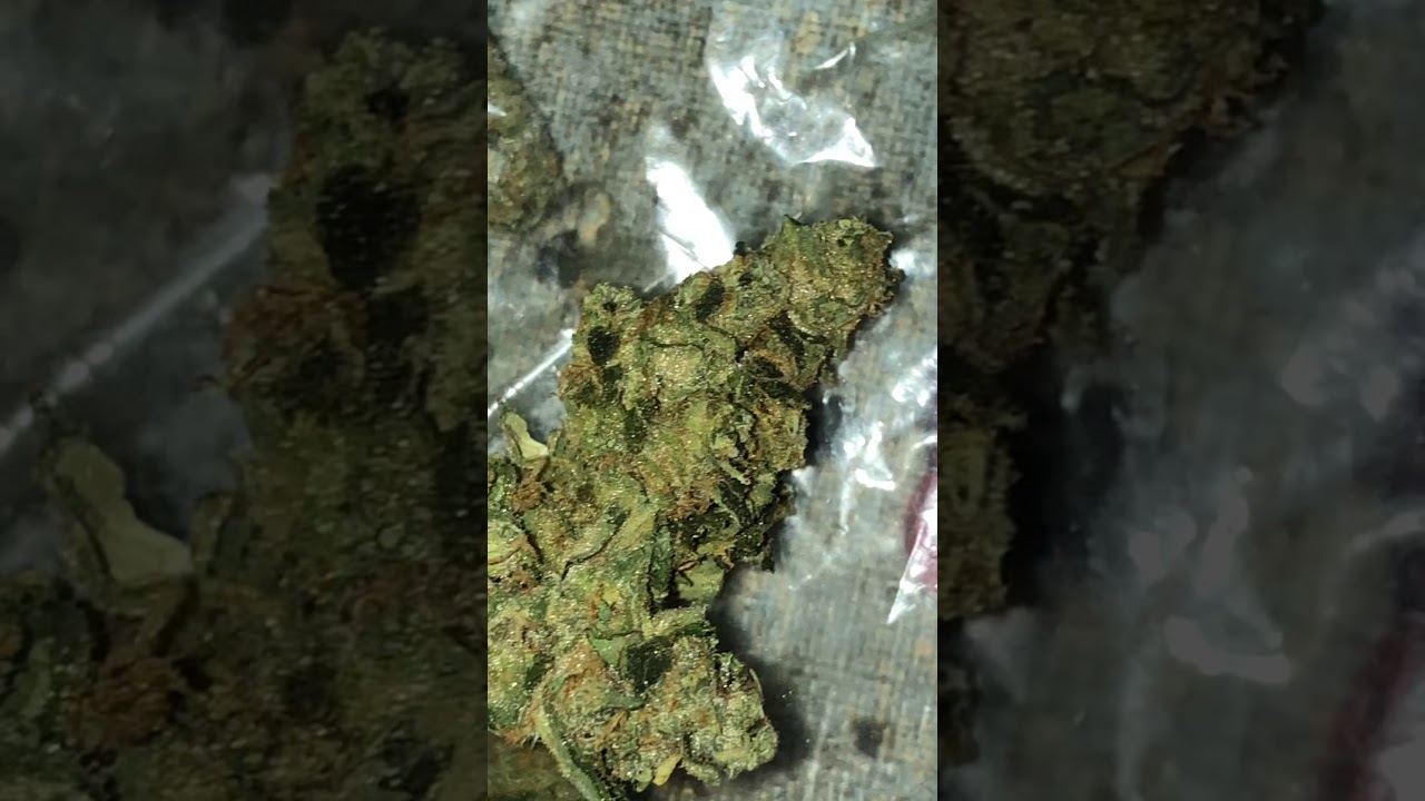MKU/ master kush ultra no PGRs (bc bud)