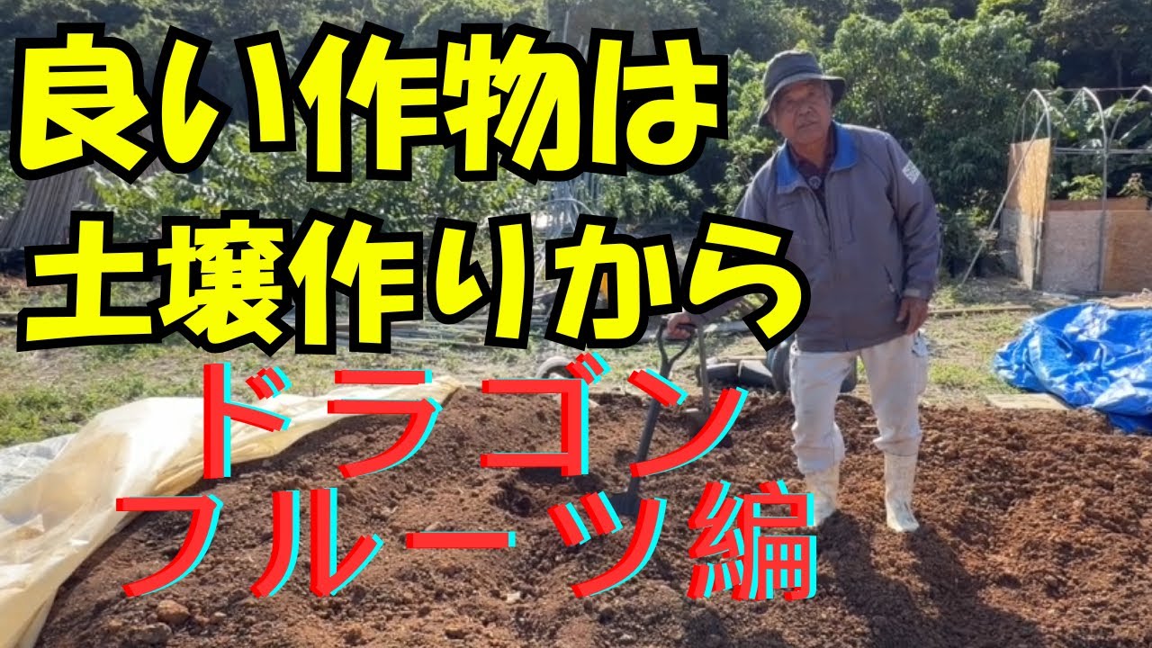 どんな作物も土の中の微生物君たちの働き具合で、大きな影響を受けます。農薬や化学肥料を不使用であれば尚更土作りはとても重要となります。